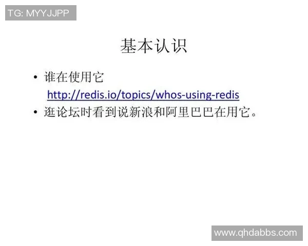 武汉羽毛球队进攻策略全解析：从技术到战术的深度探讨与实践分享