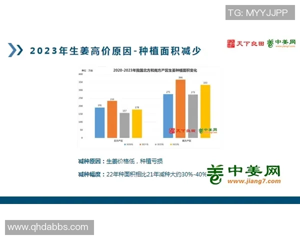 广州网球队状态分析与表现评估：数据背后的故事与未来展望